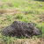 Partlow Mole Control by Bradford Pest Control of VA